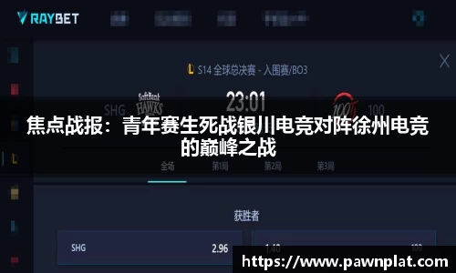 熊猫体育平台