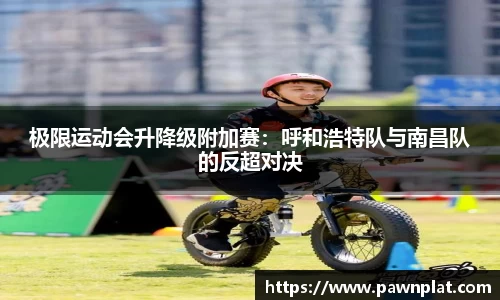 熊猫体育平台