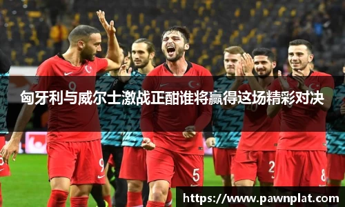 匈牙利与威尔士激战正酣谁将赢得这场精彩对决